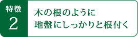 特徴2 木の根のように地盤にしっかりと根付く